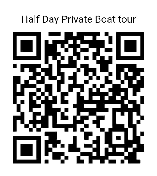 QR Code Half Day